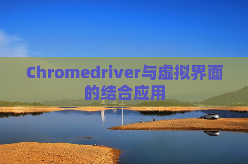 Chromedriver与虚拟界面的结合应用