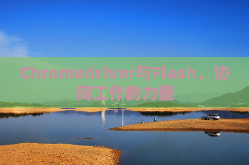 Chromedriver与Flash,协同工作的力量 Chromedriver与Flash,协同工作的力量